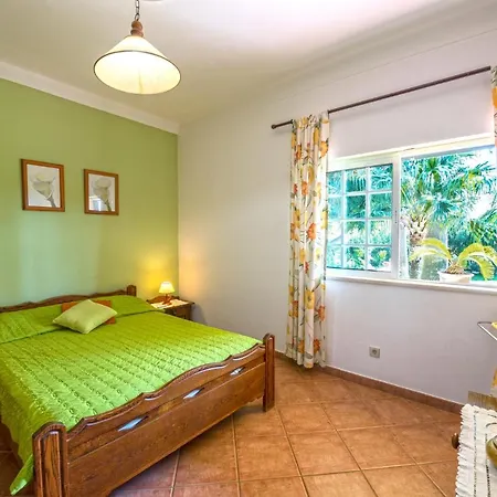 Vila Casa Das Palmeiras - Fantastic Isolated With Pool Almancil